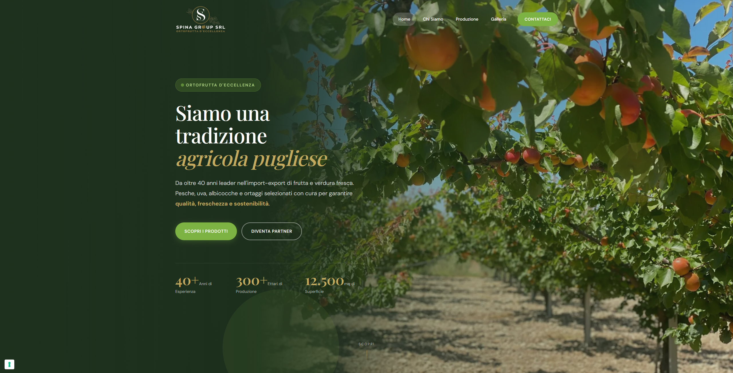 Spina Group Srl